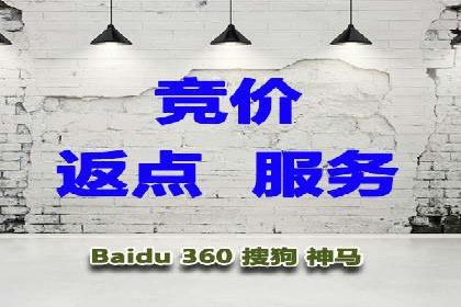 行业领先SEM竞价员的策略与实战案例